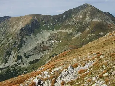 Rohacz Płaczliwy